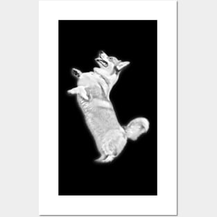 Pembroke Welsh Corgi Jump Design Posters and Art